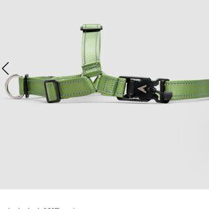 New Lifetime Harness from Atlas Pet Company - Small, Moss